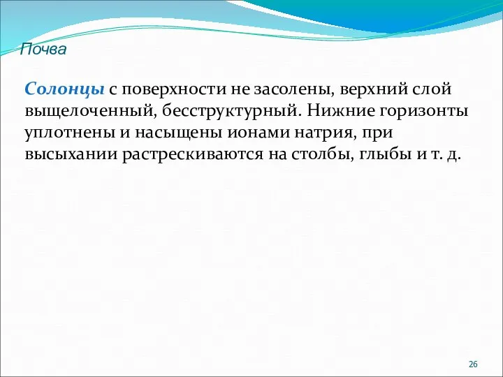 Почва Солонцы с поверхности не засолены, верхний слой выщелоченный, бесструктурный. Нижние