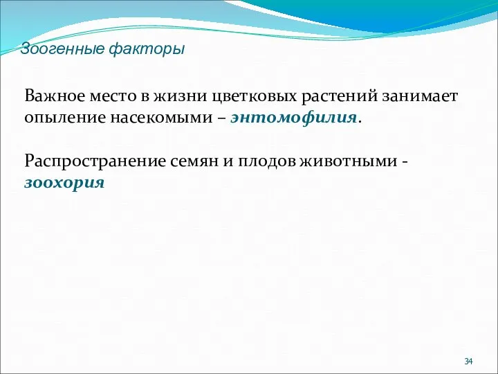 Зоогенные факторы Важное место в жизни цветковых растений занимает опыление насекомыми