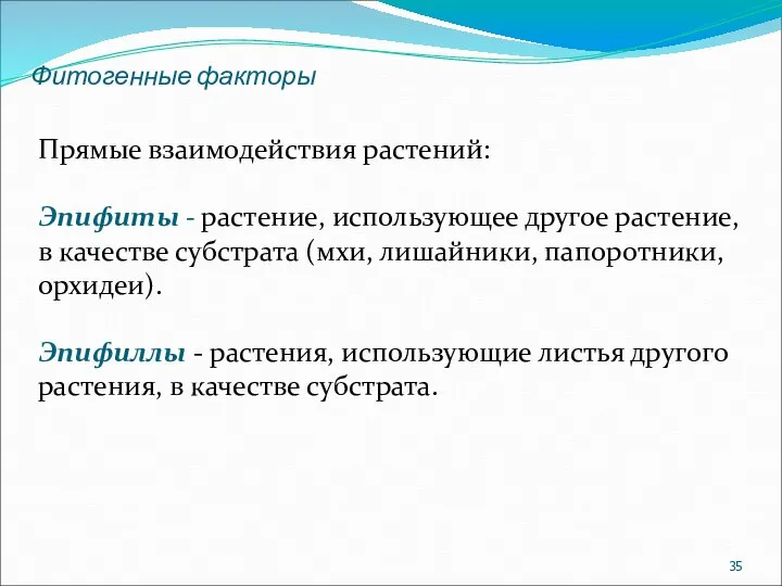 Фитогенные факторы Прямые взаимодействия растений: Эпифиты - растение, использующее другое растение,