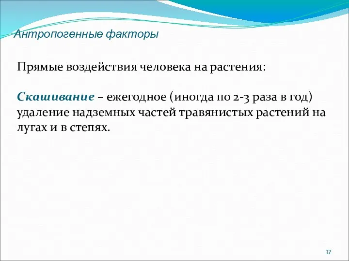 Антропогенные факторы Прямые воздействия человека на растения: Скашивание – ежегодное (иногда