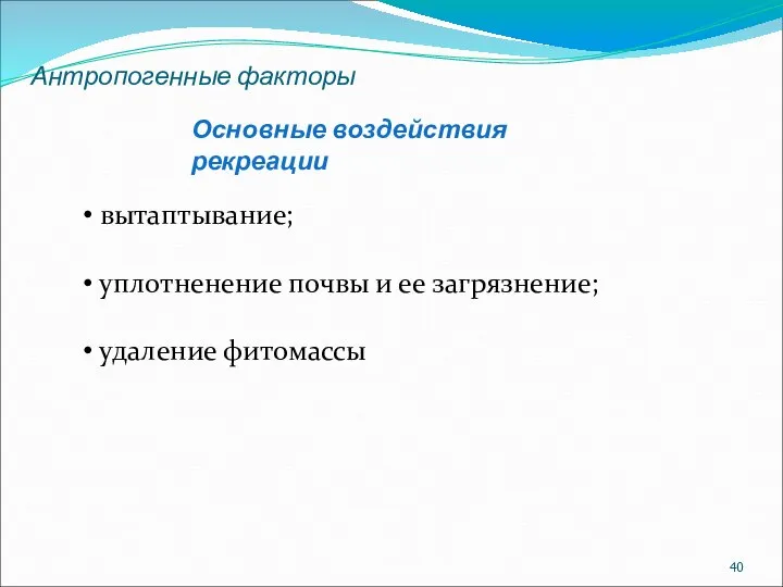 Антропогенные факторы Основные воздействия рекреации вытаптывание; уплотненение почвы и ее загрязнение; удаление фитомассы