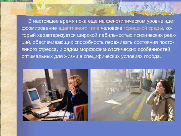 В настоящее время пока еще на фенотипическом уровне идет формирование адаптивного