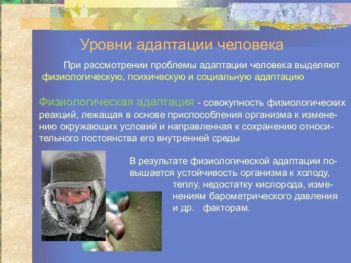 Уровни адаптации человека Физиологическая адаптация - совокупность физиологических реакций, лежащая в