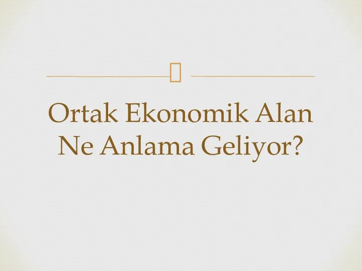 Ortak Ekonomik Alan Ne Anlama Geliyor?