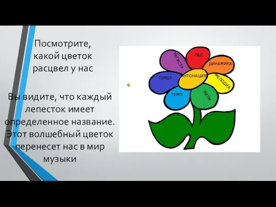 Посмотрите, какой цветок расцвел у нас Вы видите, что каждый лепесток