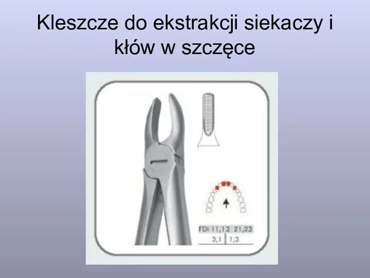 Kleszcze do ekstrakcji siekaczy i kłów w szczęce