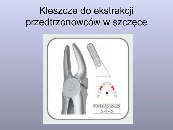 Kleszcze do ekstrakcji przedtrzonowców w szczęce