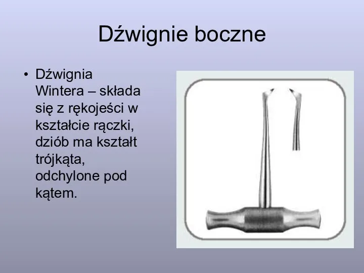 Dźwignie boczne Dźwignia Wintera – składa się z rękojeści w kształcie