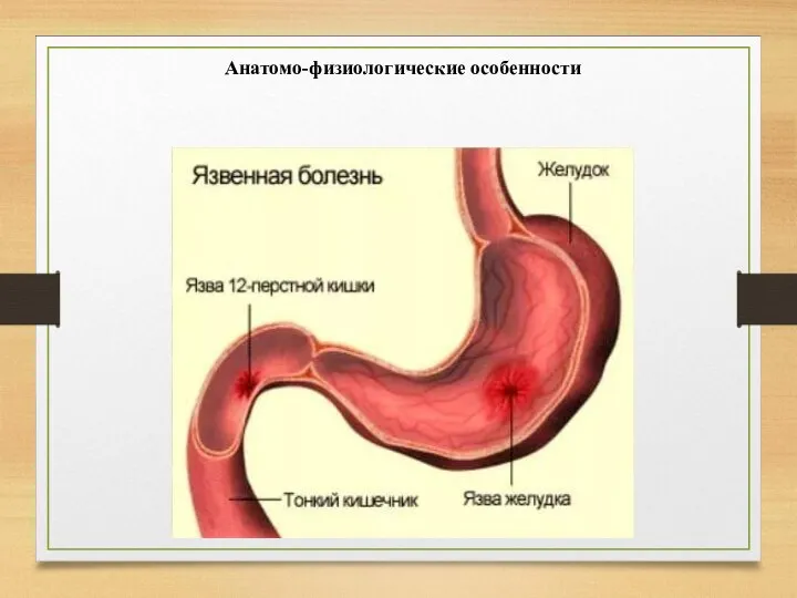 Анатомо-физиологические особенности