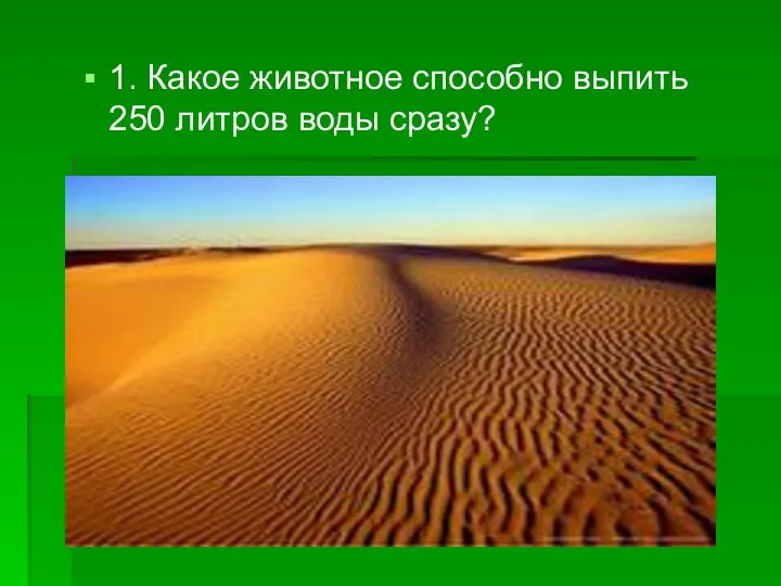 1. Какое животное способно выпить 250 литров воды сразу?