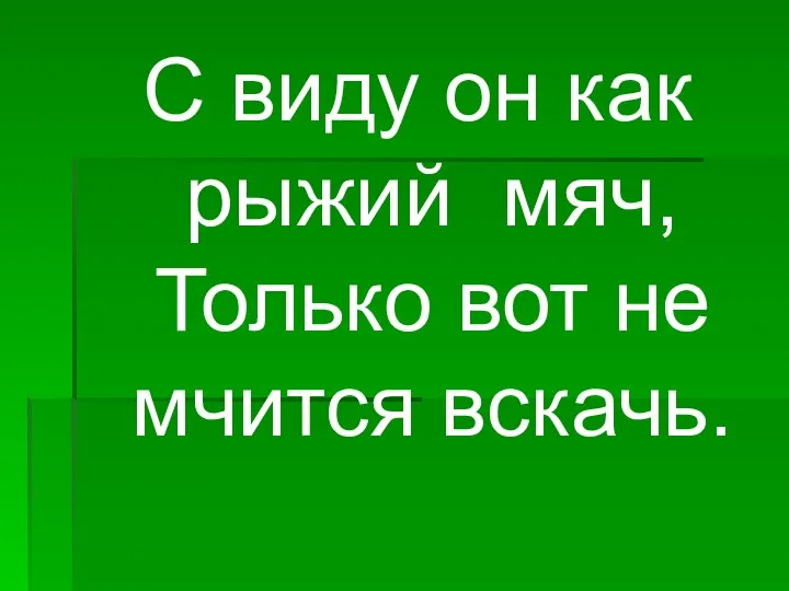 С виду он как рыжий мяч, Только вот не мчится вскачь.