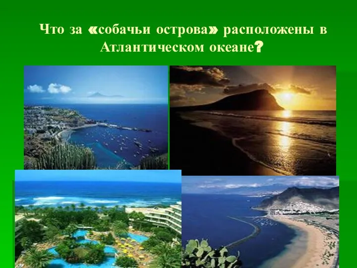 Что за «собачьи острова» расположены в Атлантическом океане?