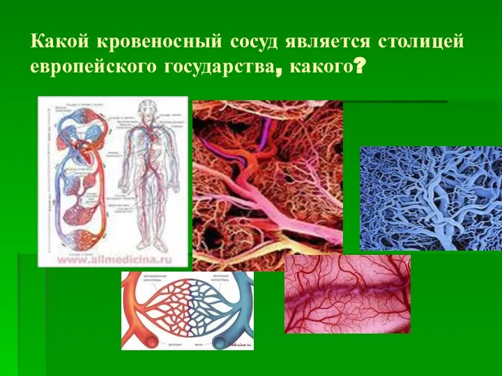 Какой кровеносный сосуд является столицей европейского государства, какого?