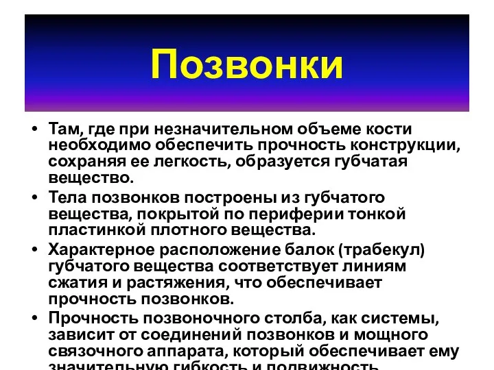 Позвонки Там, где при незначительном объеме кости необходимо обеспечить прочность конструкции,