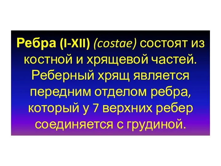 Ребра (I-XII) (costae) состоят из костной и хрящевой частей. Реберный хрящ