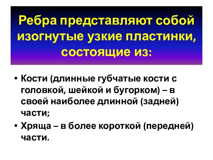 Ребра представляют собой изогнутые узкие пластинки, состоящие из: Кости (длинные губчатые