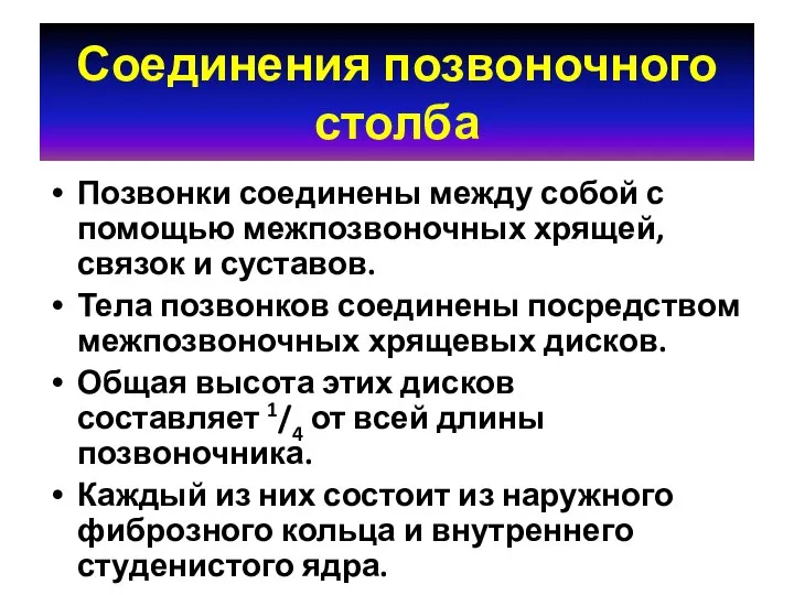 Соединения позвоночного столба Позвонки соединены между собой с помощью межпозвоночных хрящей,