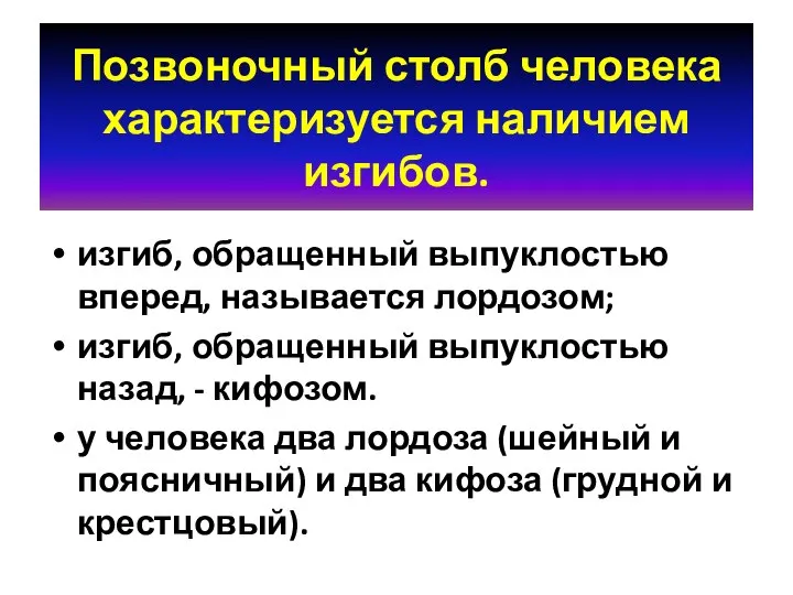 Позвоночный столб человека характеризуется наличием изгибов. изгиб, обращенный выпуклостью вперед, называется