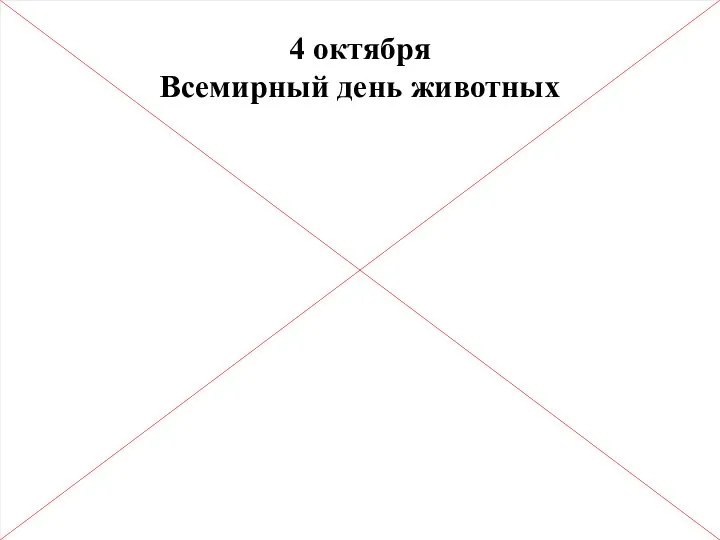 4 октября Всемирный день животных