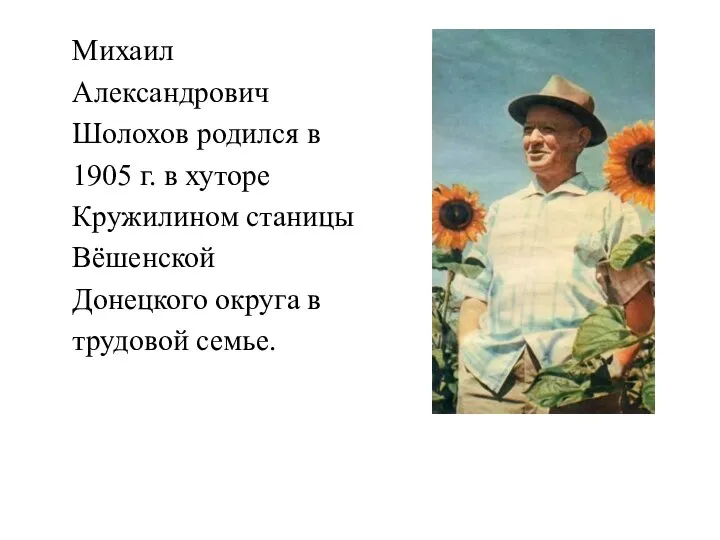 Михаил Александрович Шолохов родился в 1905 г. в хуторе Кружилином станицы