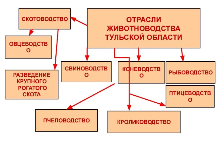 ОТРАСЛИ ЖИВОТНОВОДСТВА ТУЛЬСКОЙ ОБЛАСТИ СКОТОВОДСТВО СВИНОВОДСТВО ОВЦЕВОДСТВО РЫБОВОДСТВО КРОЛИКОВОДСТВО КОНЕВОДСТВО ПЧЕЛОВОДСТВО ПТИЦЕВОДСТВО РАЗВЕДЕНИЕ КРУПНОГО РОГАТОГО СКОТА