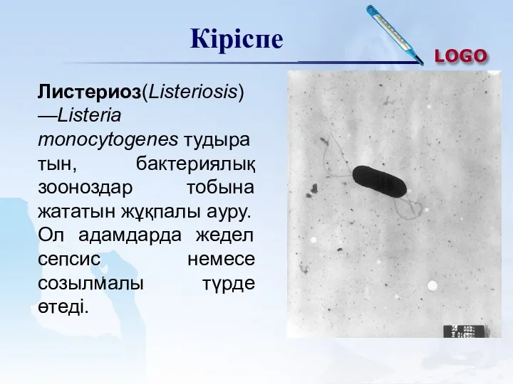 Кіріспе Листериоз(Listeriosis) —Listeria monocytogenes тудыратын, бактериялық зооноздар тобына жататын жұқпалы ауру.