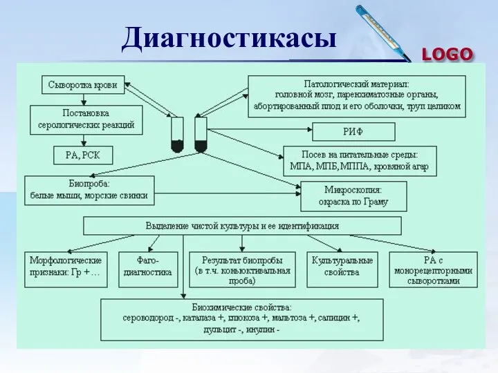 Диагностикасы