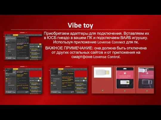 Vibe toy Приобретаем адаптеры для подключения. Вставляем их в ЮСБ гнездо