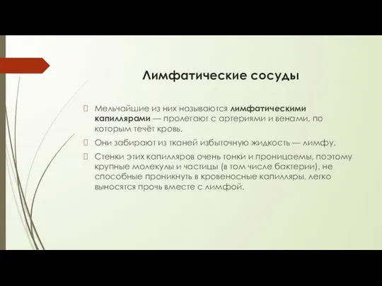 Лимфатические сосуды Мельчайшие из них называются лимфатическими капиллярами — пролегают с