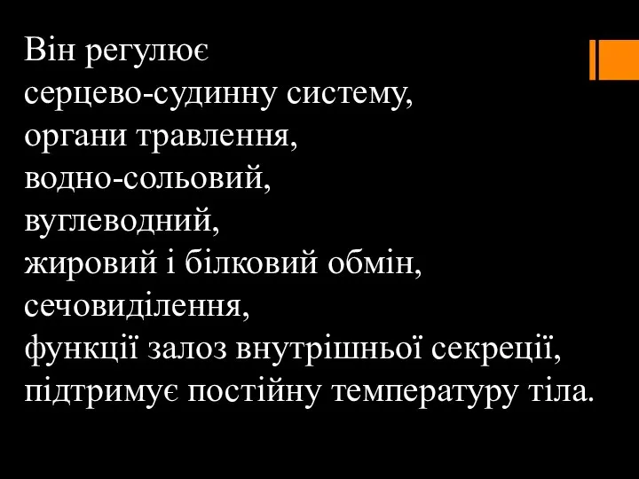 Він регулює серцево-судинну систему, органи травлення, водно-сольовий, вуглеводний, жировий і білковий