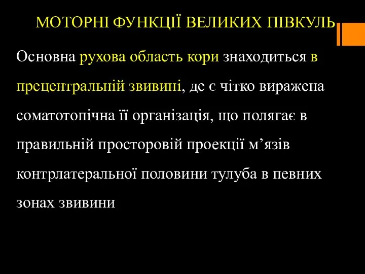 МОТОРНІ ФУНКЦІЇ ВЕЛИКИХ ПІВКУЛЬ Основна рухова область кори знаходиться в прецентральній