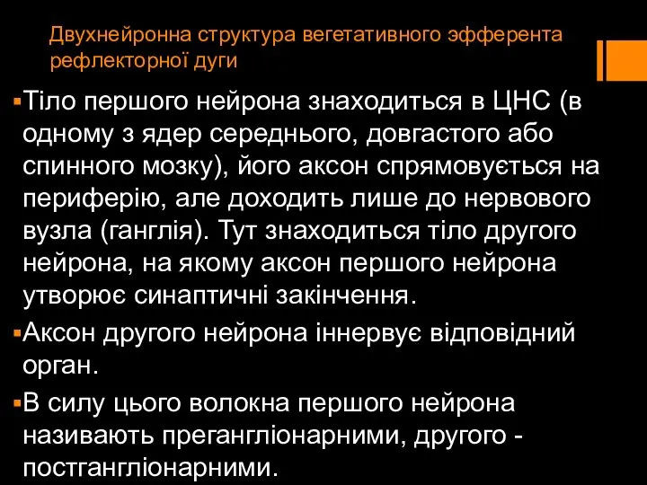 Двухнейронна структура вегетативного эфферента рефлекторної дуги Тіло першого нейрона знаходиться в