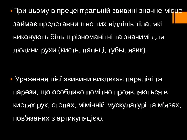 При цьому в прецентральній звивині значне місце займає представництво тих відділів