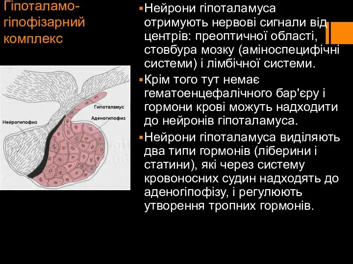 Гіпоталамо-гіпофізарний комплекс Нейрони гіпоталамуса отримують нервові сигнали від центрів: преоптичної області,