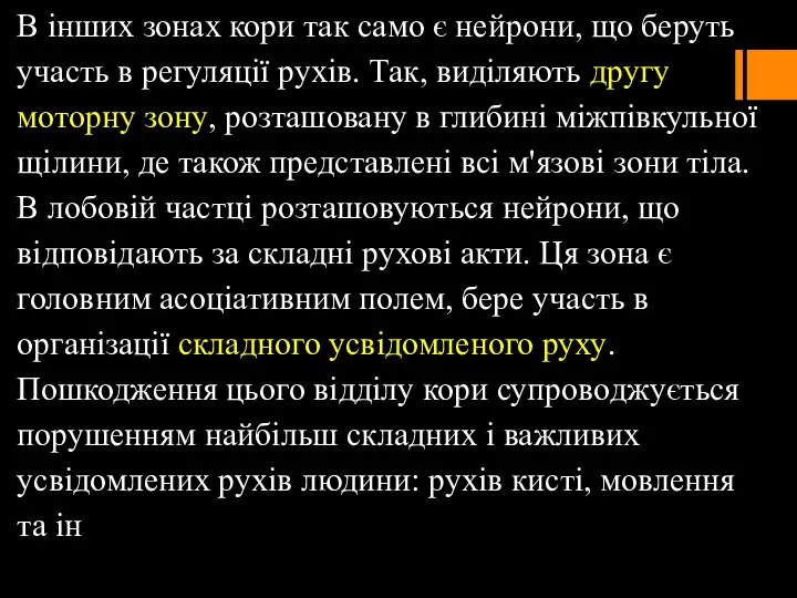 В інших зонах кори так само є нейрони, що беруть участь