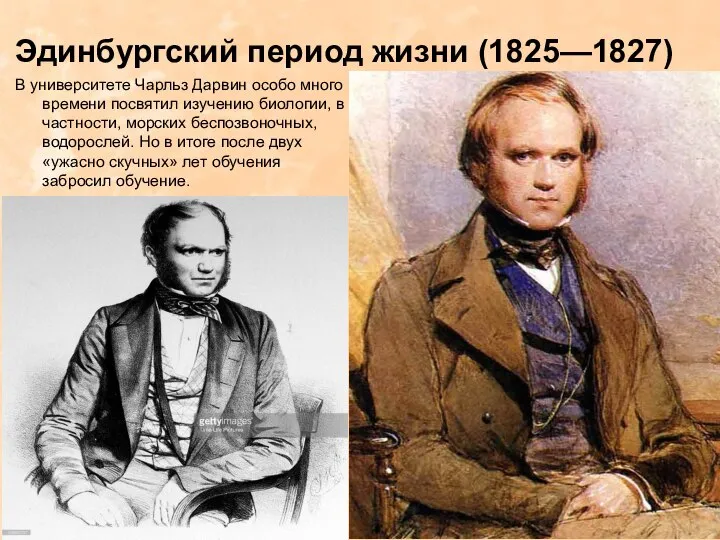 Эдинбургский период жизни (1825—1827) В университете Чарльз Дарвин особо много времени