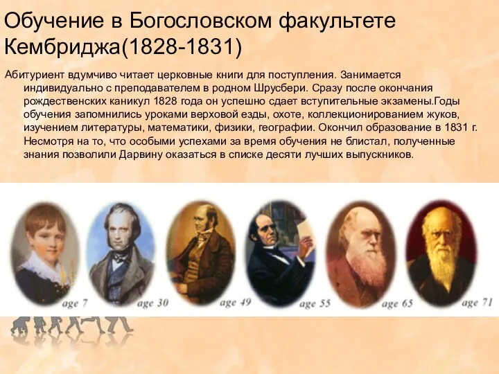 Обучение в Богословском факультете Кембриджа(1828-1831) Абитуриент вдумчиво читает церковные книги для