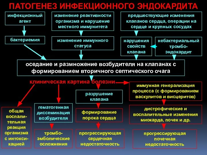 ПАТОГЕНЕЗ ИНФЕКЦИОННОГО ЭНДОКАРДИТА