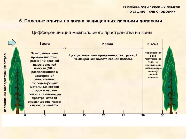 «Особенности полевых опытов по защите почв от эрозии» 5. Полевые опыты на полях защищенных лесными полосами.