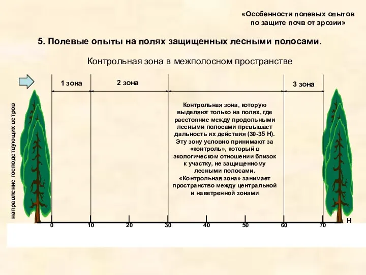 «Особенности полевых опытов по защите почв от эрозии» 5. Полевые опыты на полях защищенных лесными полосами.