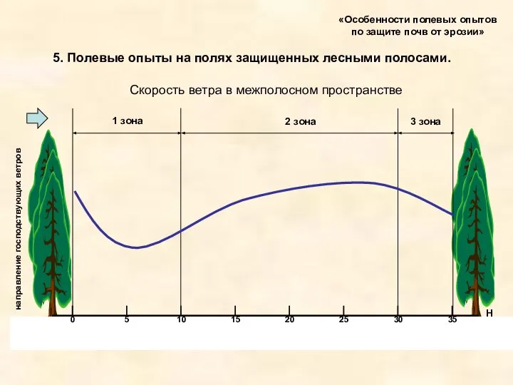 «Особенности полевых опытов по защите почв от эрозии» 5. Полевые опыты на полях защищенных лесными полосами.