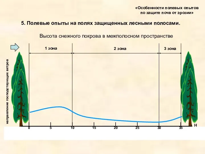 «Особенности полевых опытов по защите почв от эрозии» 5. Полевые опыты на полях защищенных лесными полосами.