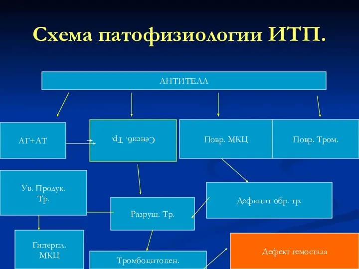 Схема патофизиологии ИТП. АНТИТЕЛА АГ+АТ Сенсиб. Тр. Повр. МКЦ Повр. Тром.