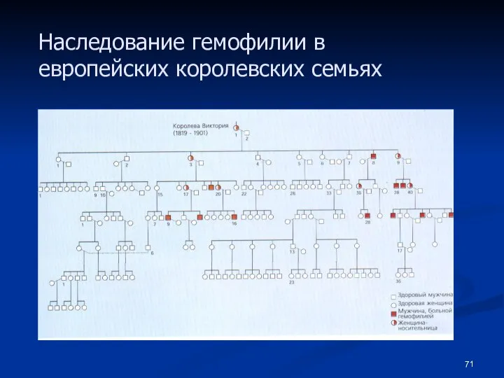 Наследование гемофилии в европейских королевских семьях