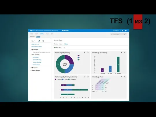TFS (1 из 2)