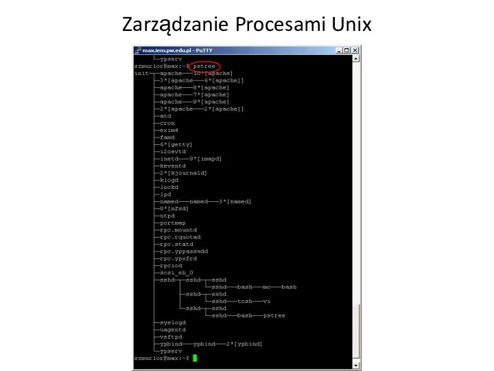 Zarządzanie Procesami Unix