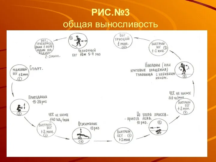 РИС.№3 общая выносливость