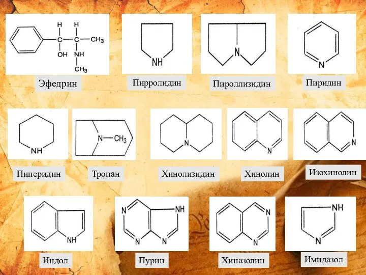 Эфедрин Пирролидин Пироллизидин Пиридин Пиперидин Тропан Хинолизидин Хинолин Изохинолин Индол Пурин Хиназолин Имидазол