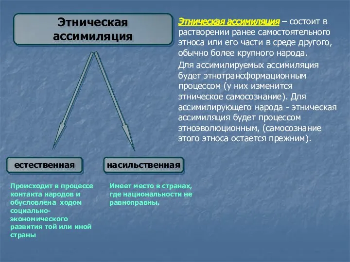 Этническая ассимиляция естественная насильственная