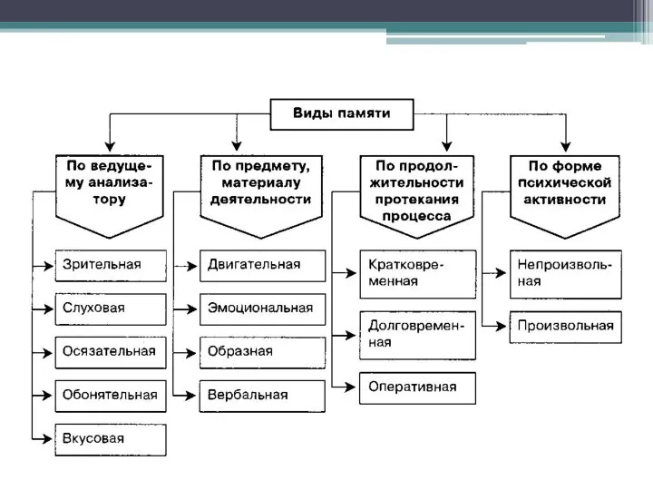 Память